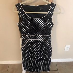 Tahari Navy Polka Dot Dress